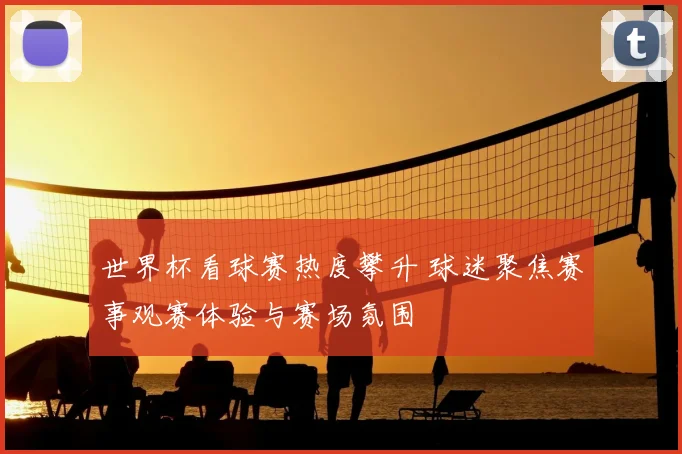 世界杯看球赛热度攀升 球迷聚焦赛事观赛体验与赛场氛围