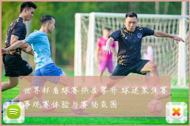 世界杯看球赛热度攀升 球迷聚焦赛事观赛体验与赛场氛围