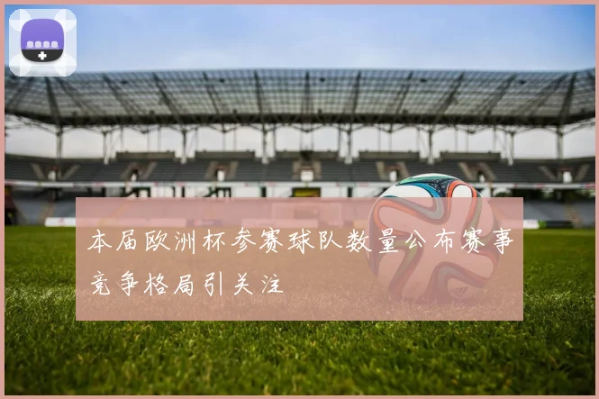 本届欧洲杯参赛球队数量公布赛事竞争格局引关注