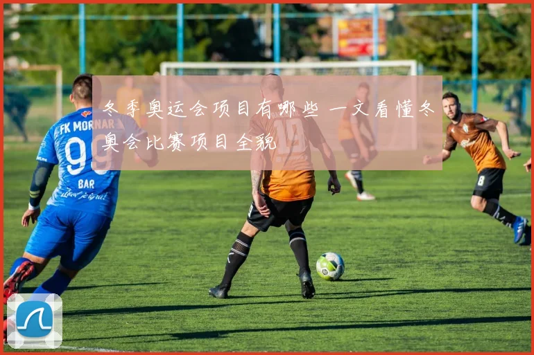 冬季奥运会项目有哪些 一文看懂冬奥会比赛项目全貌